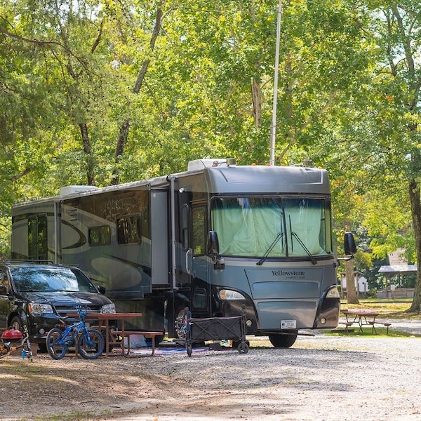Standard Back-In RV Site-1